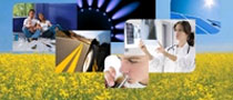 Celanese Sustainability Report